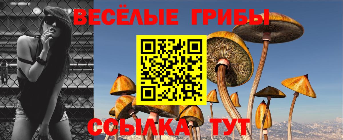 Галлюциногенные грибы Magic Shrooms  Галлюциногенные грибы Magic Shrooms  Вход с VPN  Каменка 